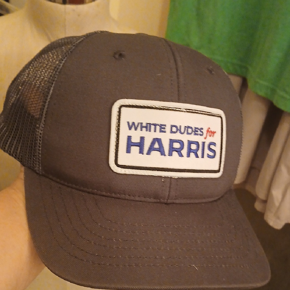 "White‎ Dudes For HARRIS" DC Classic Caps GRAY Mesh BASEBALL Hat